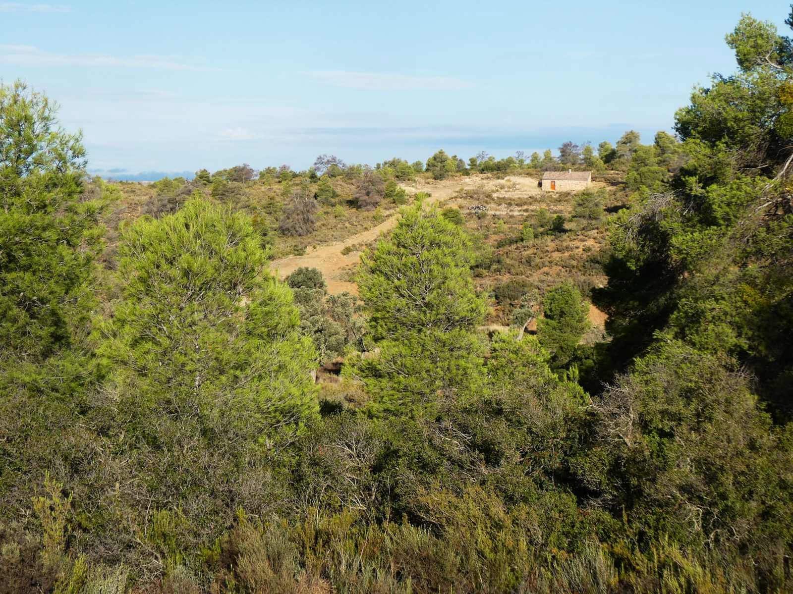Finca/Landehus til salg i Maella - € 36.000 (Ref: 10150173)