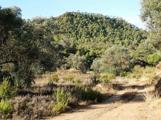Finca/Casa di Campagna in vendita in Maella - 36.000 € (Rif: 10150173)