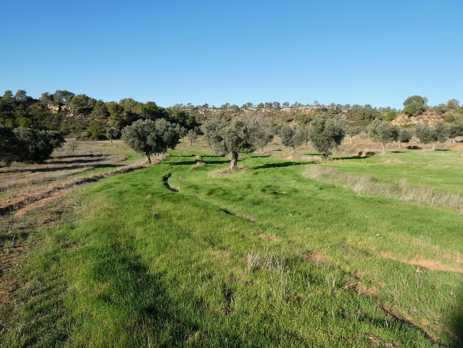 Finca/Landhuis te koop in Fabara - € 16.500 (Ref: 10174259)