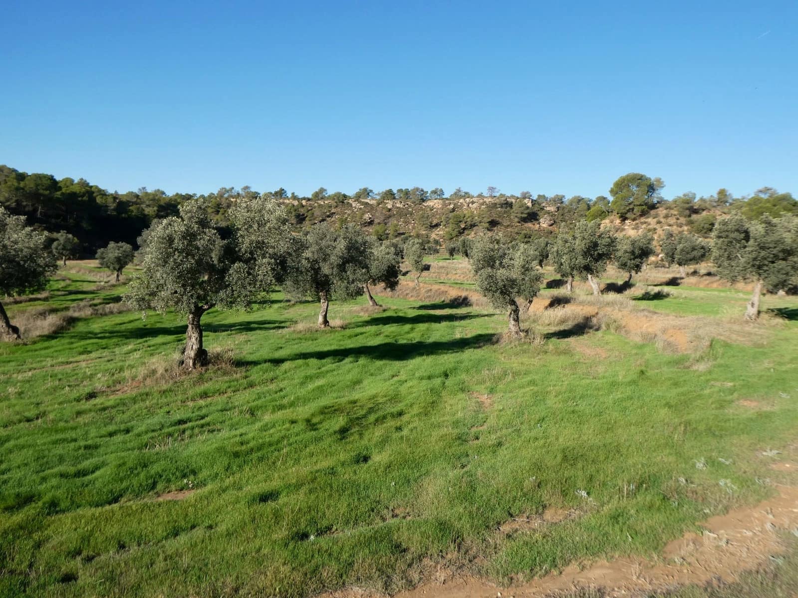 Finca/Landhuis te koop in Fabara - € 16.500 (Ref: 10174259)