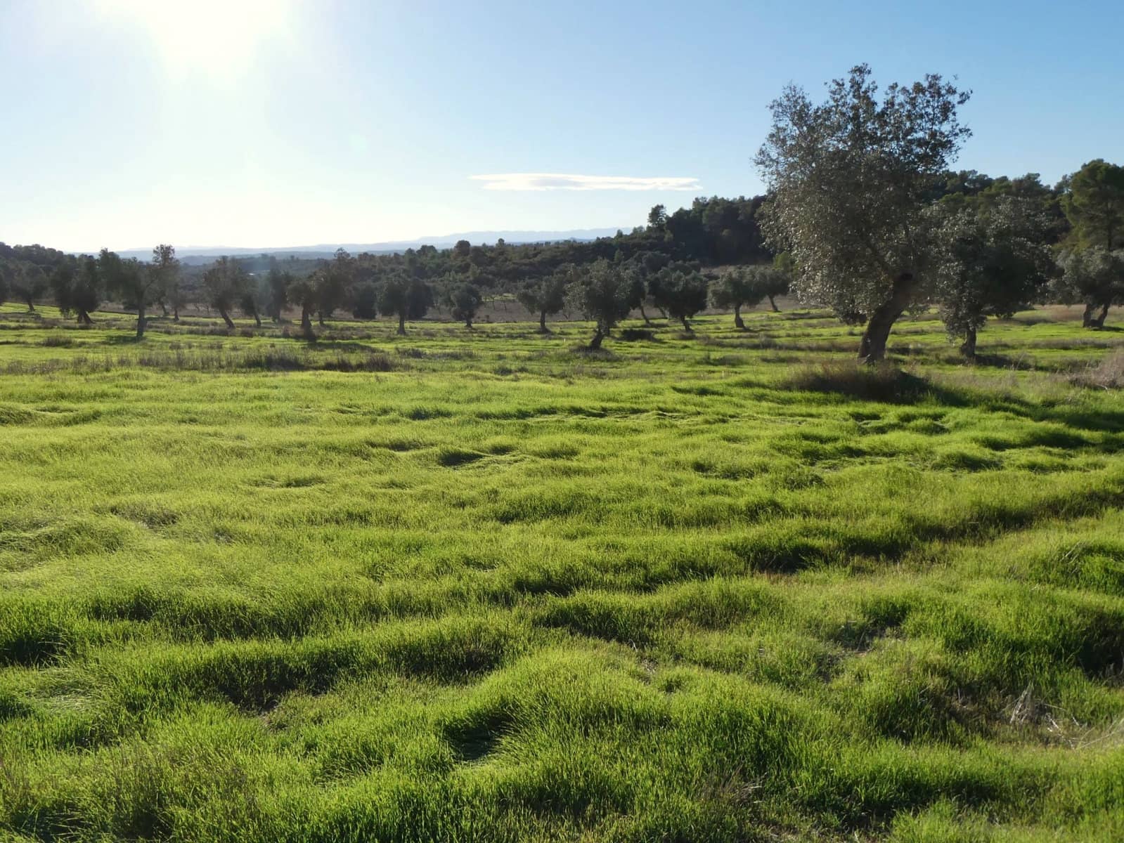 Finca/Landhuis te koop in Fabara - € 16.500 (Ref: 10174259)