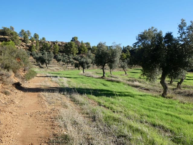 Finca/Herregård til salgs i Fabara - € 16 500 (Ref: 10174259)