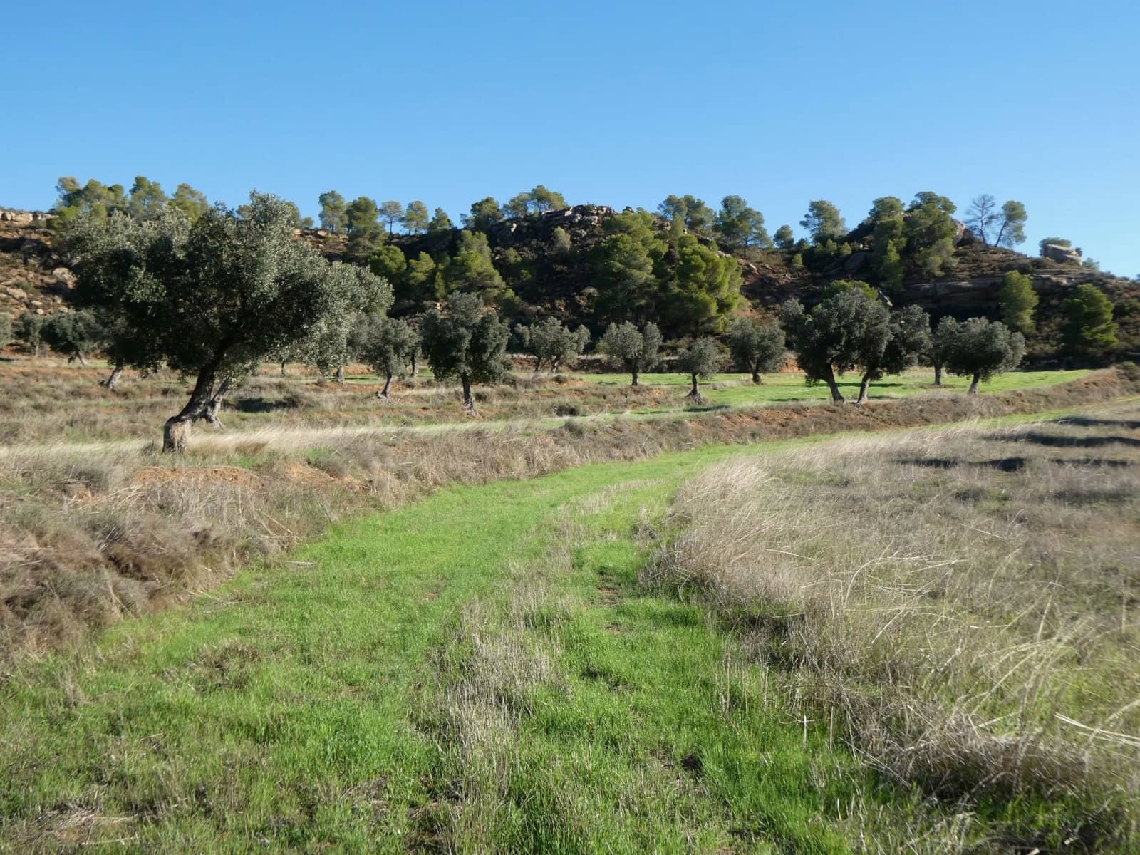 Finca/Landhuis te koop in Fabara - € 16.500 (Ref: 10174259)