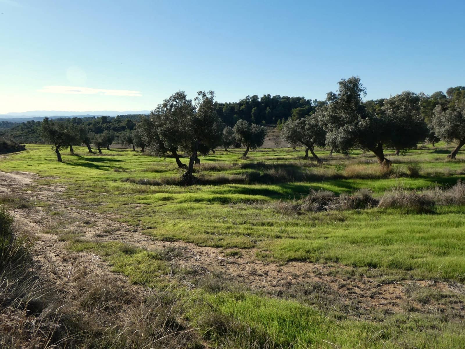 Finca/Landhuis te koop in Fabara - € 16.500 (Ref: 10174259)