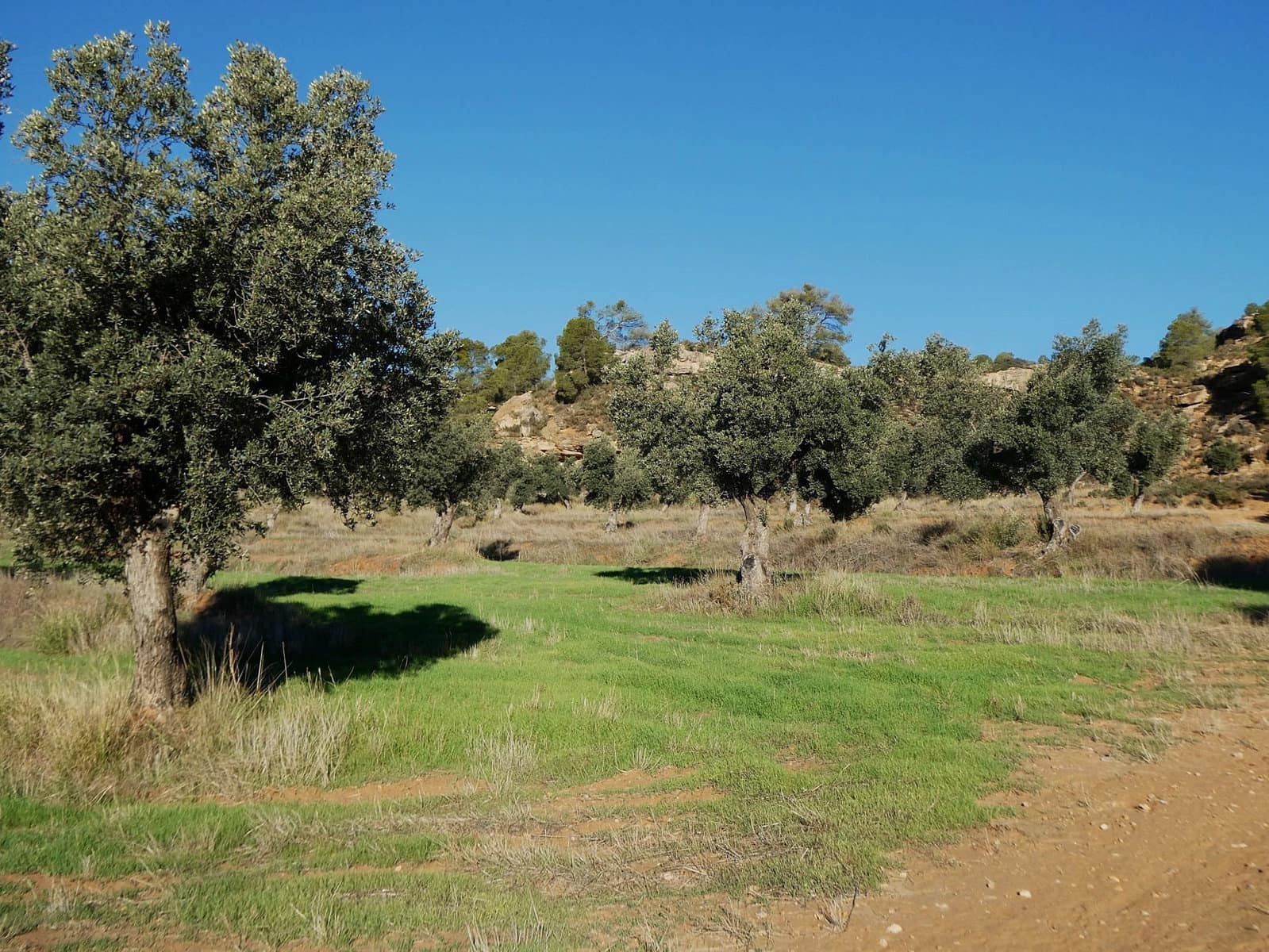 Finca/Landhuis te koop in Fabara - € 16.500 (Ref: 10174259)