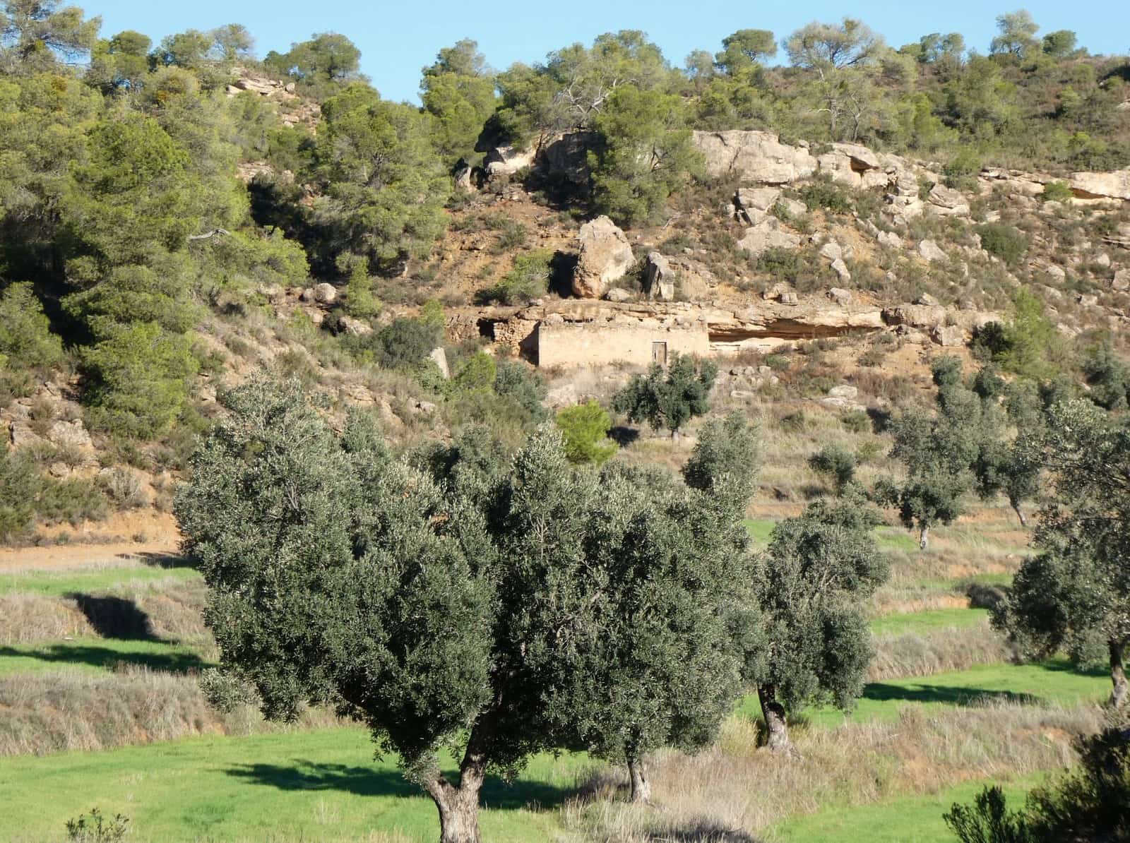 Finca/Landhuis te koop in Fabara - € 16.500 (Ref: 10174259)
