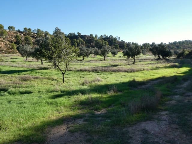 Finca/Herregård til salgs i Fabara - € 16 500 (Ref: 10174259)