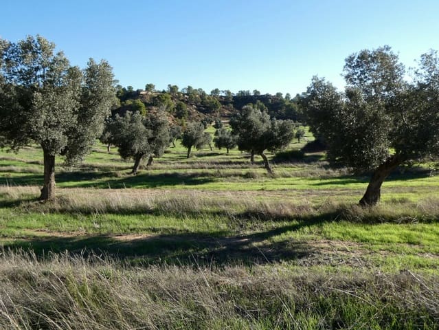 Finca/Herregård til salgs i Fabara - € 16 500 (Ref: 10174259)