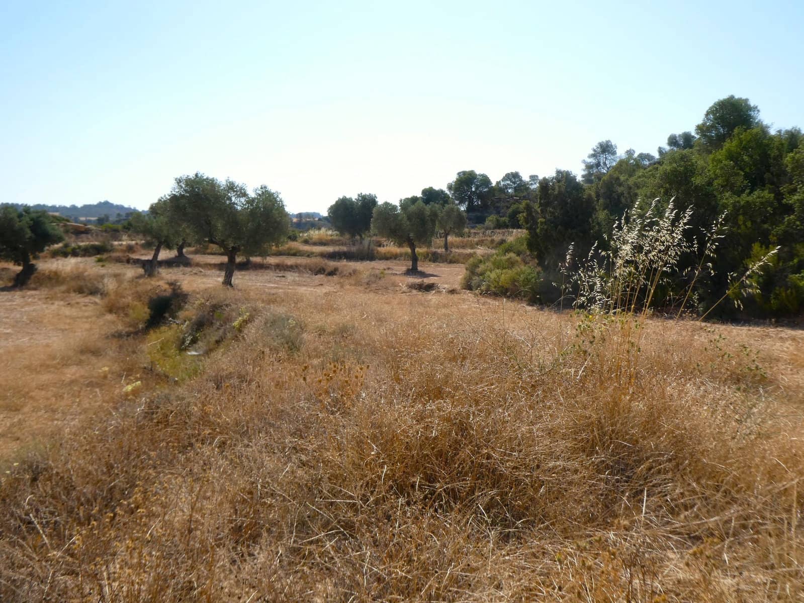 Finca/Landhuis te koop in Maella - € 29.500 (Ref: 10174777)