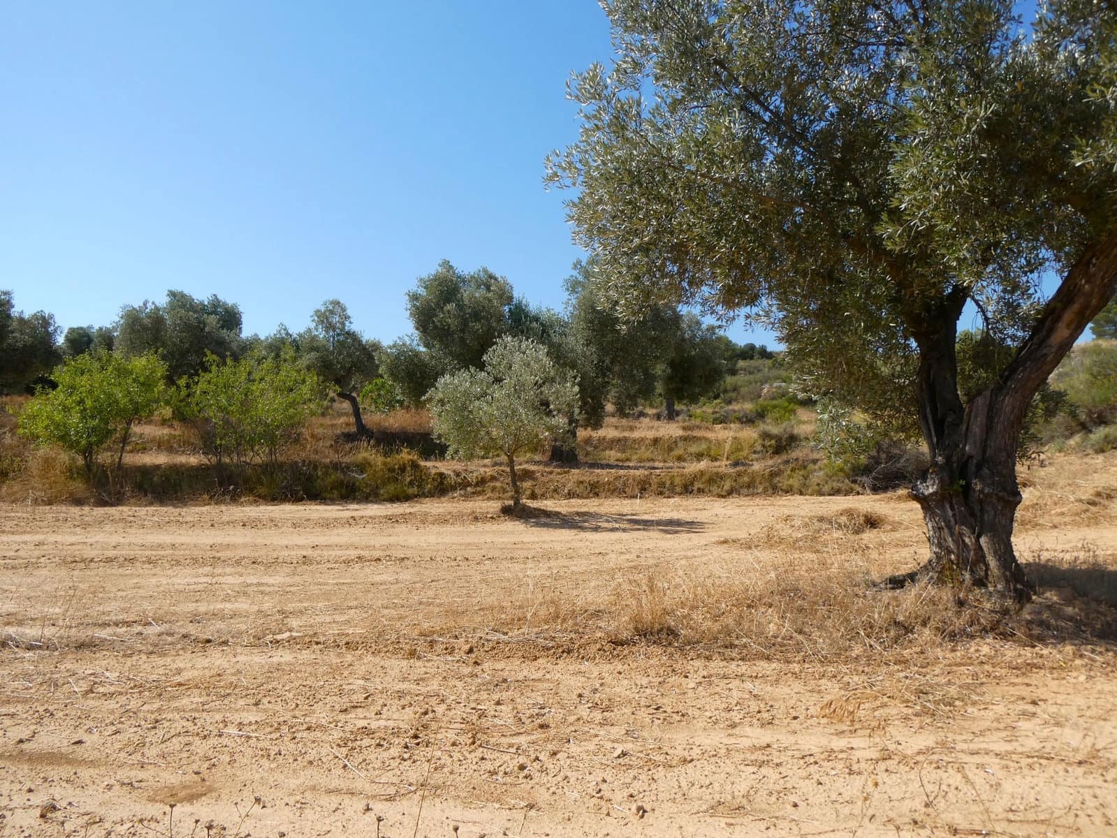 Finca/Landhuis te koop in Maella - € 29.500 (Ref: 10174777)