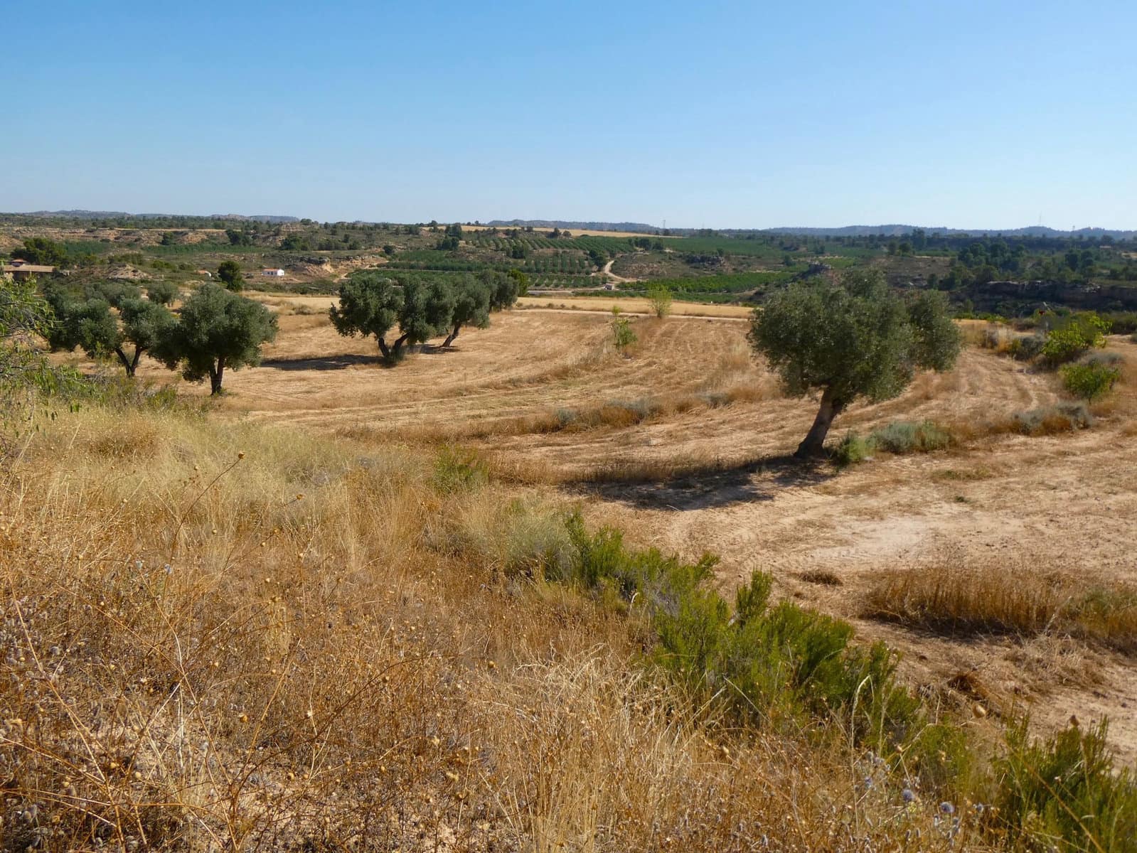 Finca/Landhuis te koop in Maella - € 29.500 (Ref: 10174777)