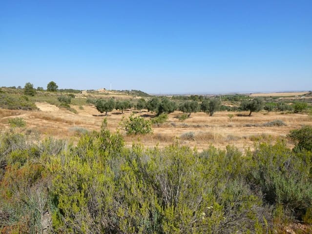 Finca/Landhuis te koop in Maella - € 29.500 (Ref: 10174777)