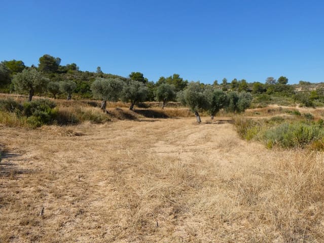 Finca/Landhuis te koop in Maella - € 29.500 (Ref: 10174777)