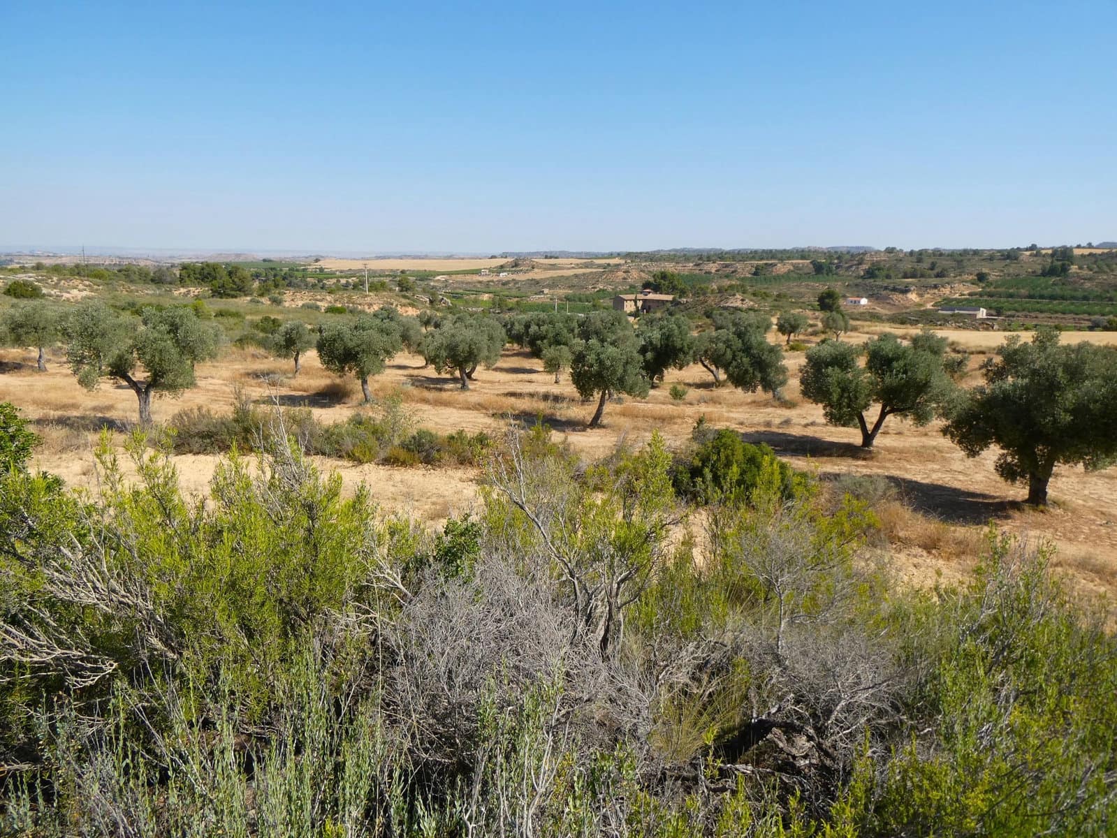 Finca/Landhuis te koop in Maella - € 29.500 (Ref: 10174777)