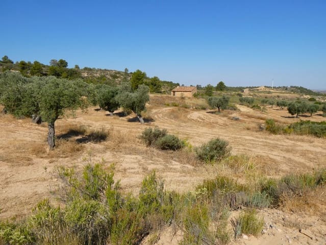 Finca/Landhuis te koop in Maella - € 29.500 (Ref: 10174777)