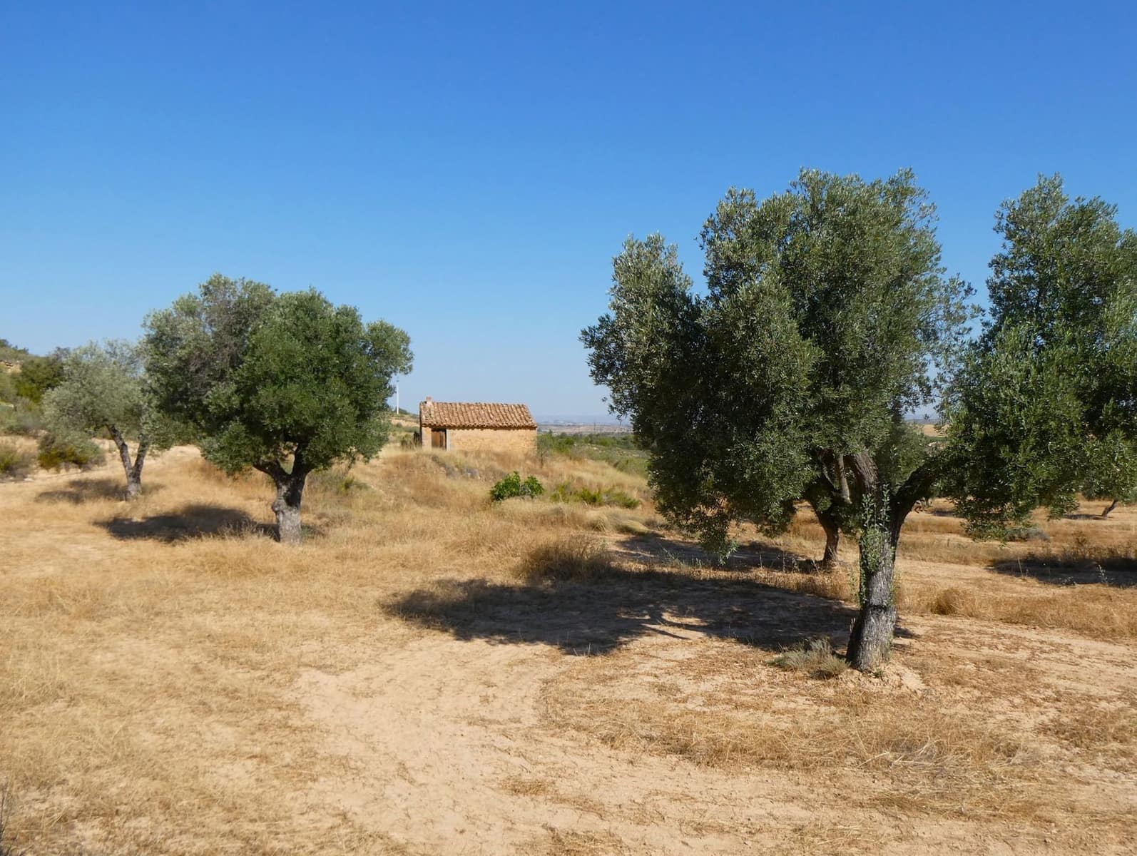 Finca/Landhuis te koop in Maella - € 29.500 (Ref: 10174777)