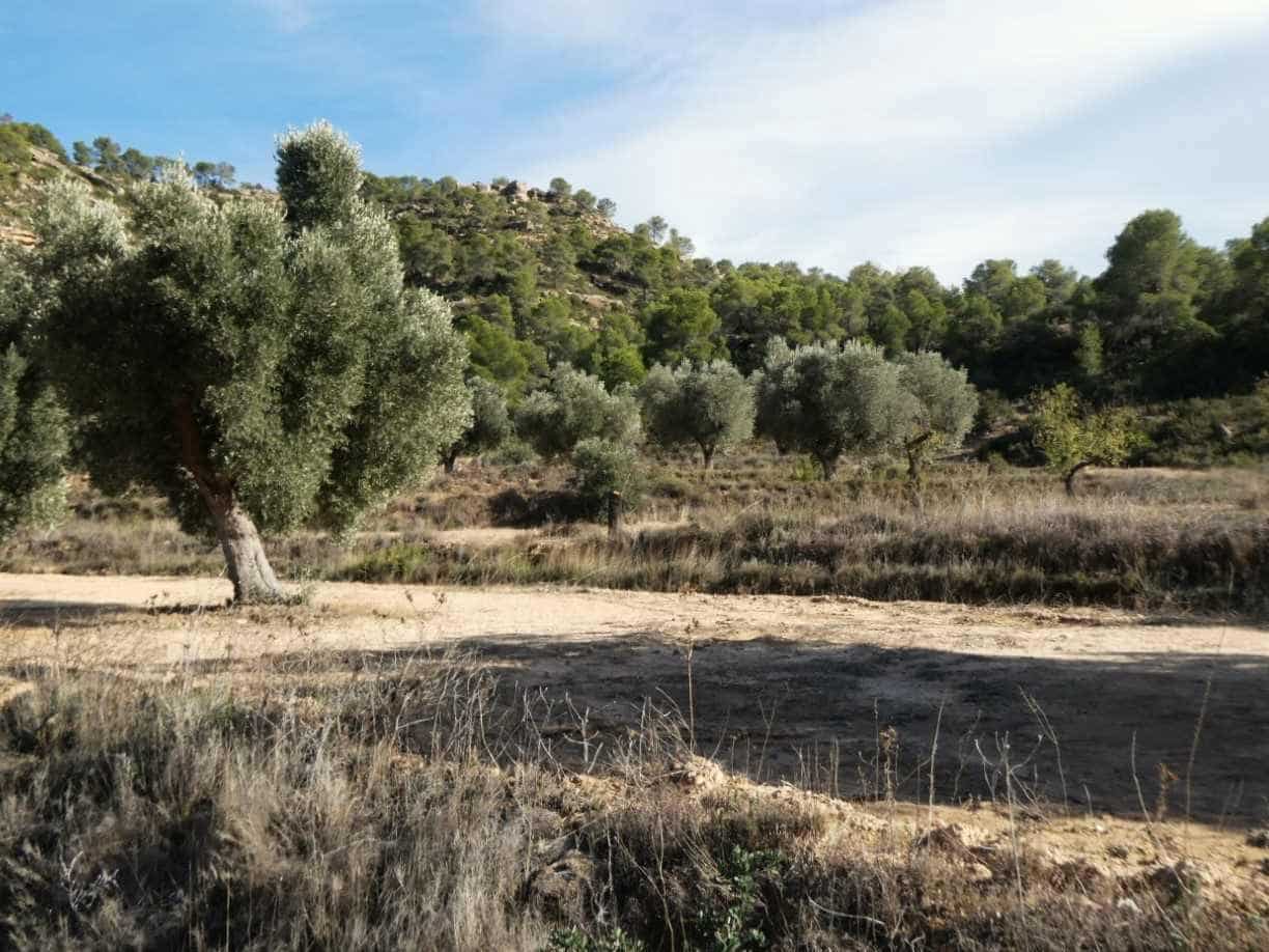 Finca/Maison de Campagne à vendre à Maella - 29 000 € (Ref: 10177478)