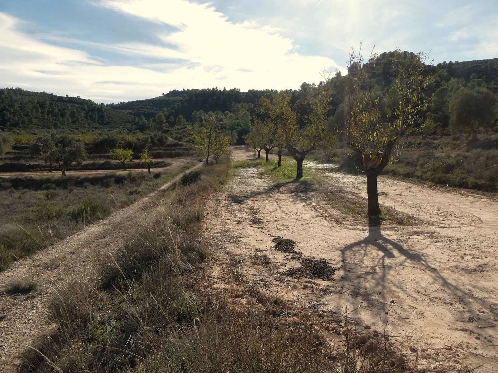 Finca/Maison de Campagne à vendre à Maella - 29 000 € (Ref: 10177478)