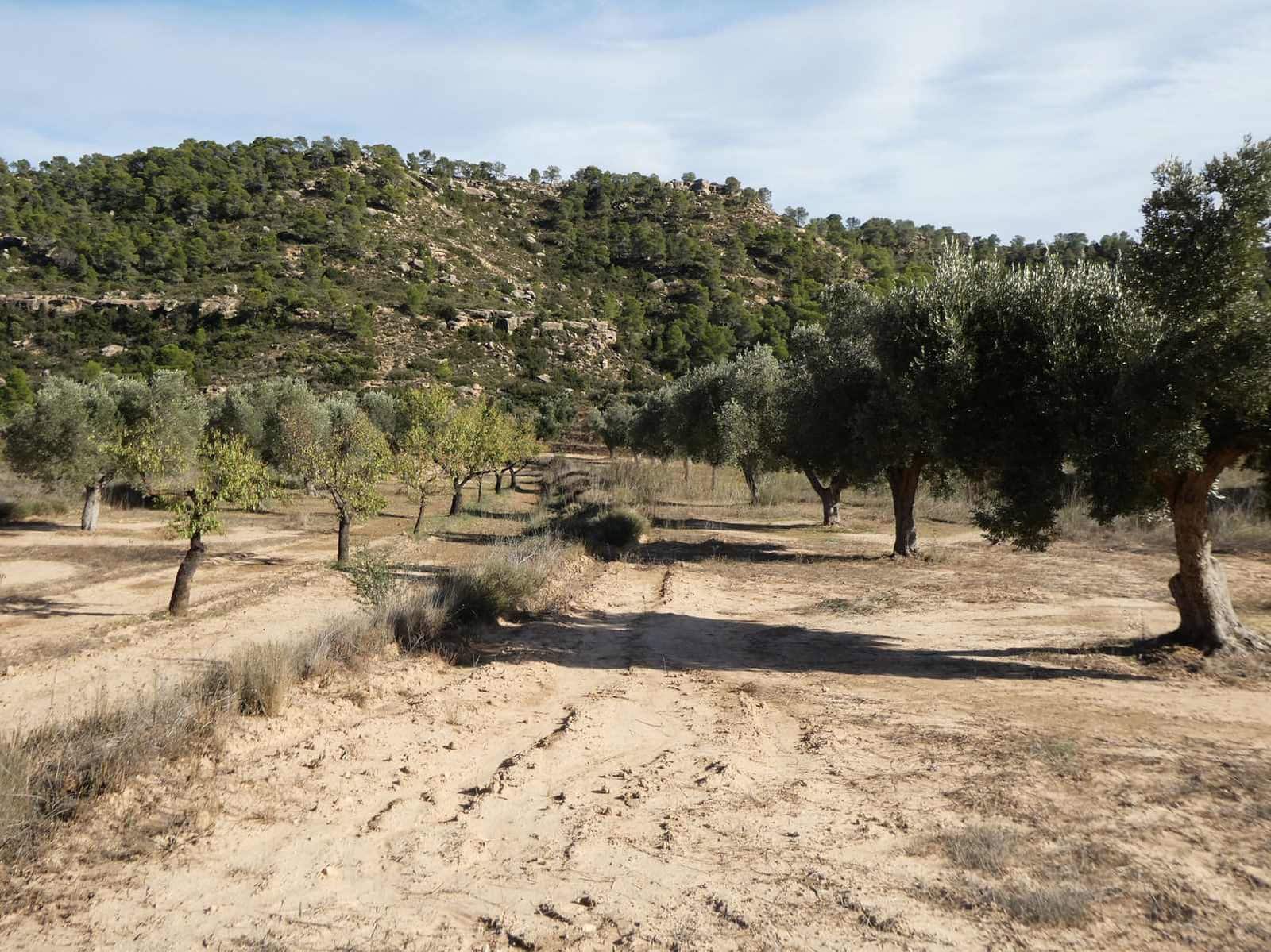 Finca/Maison de Campagne à vendre à Maella - 29 000 € (Ref: 10177478)