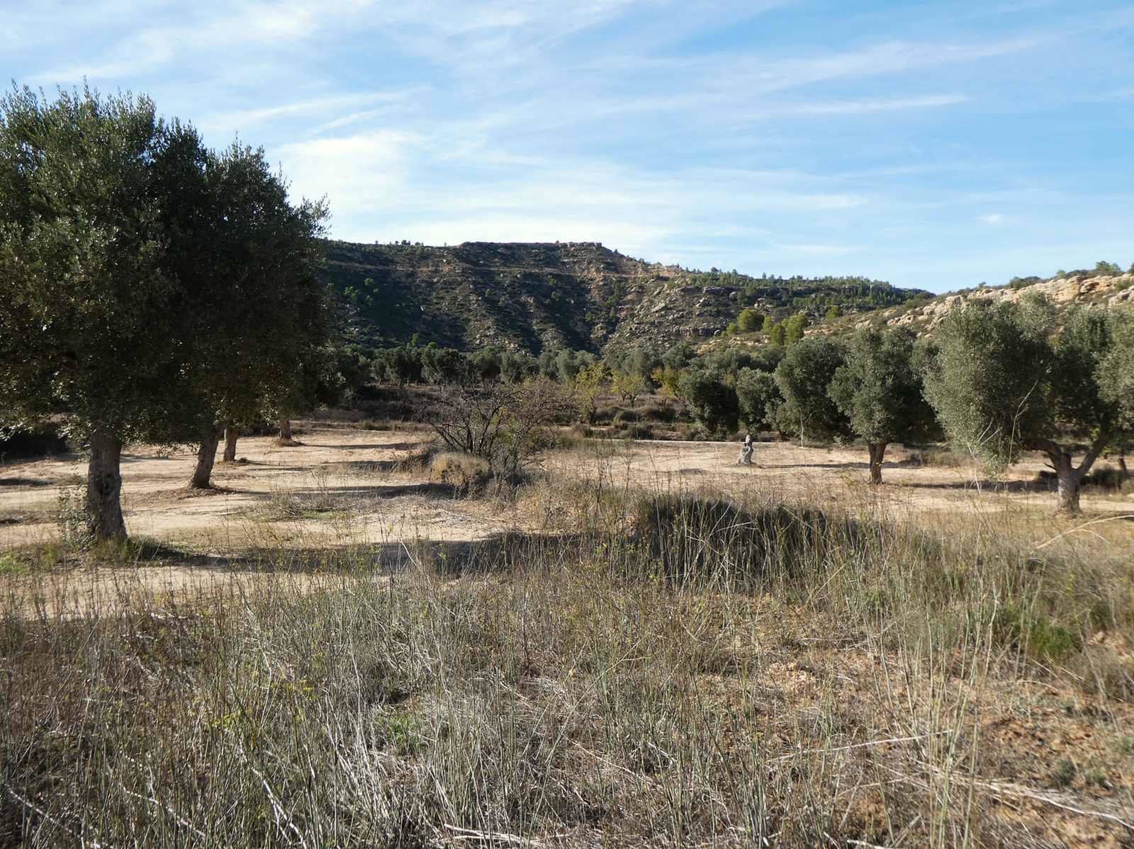 Finca/Maison de Campagne à vendre à Maella - 29 000 € (Ref: 10177478)