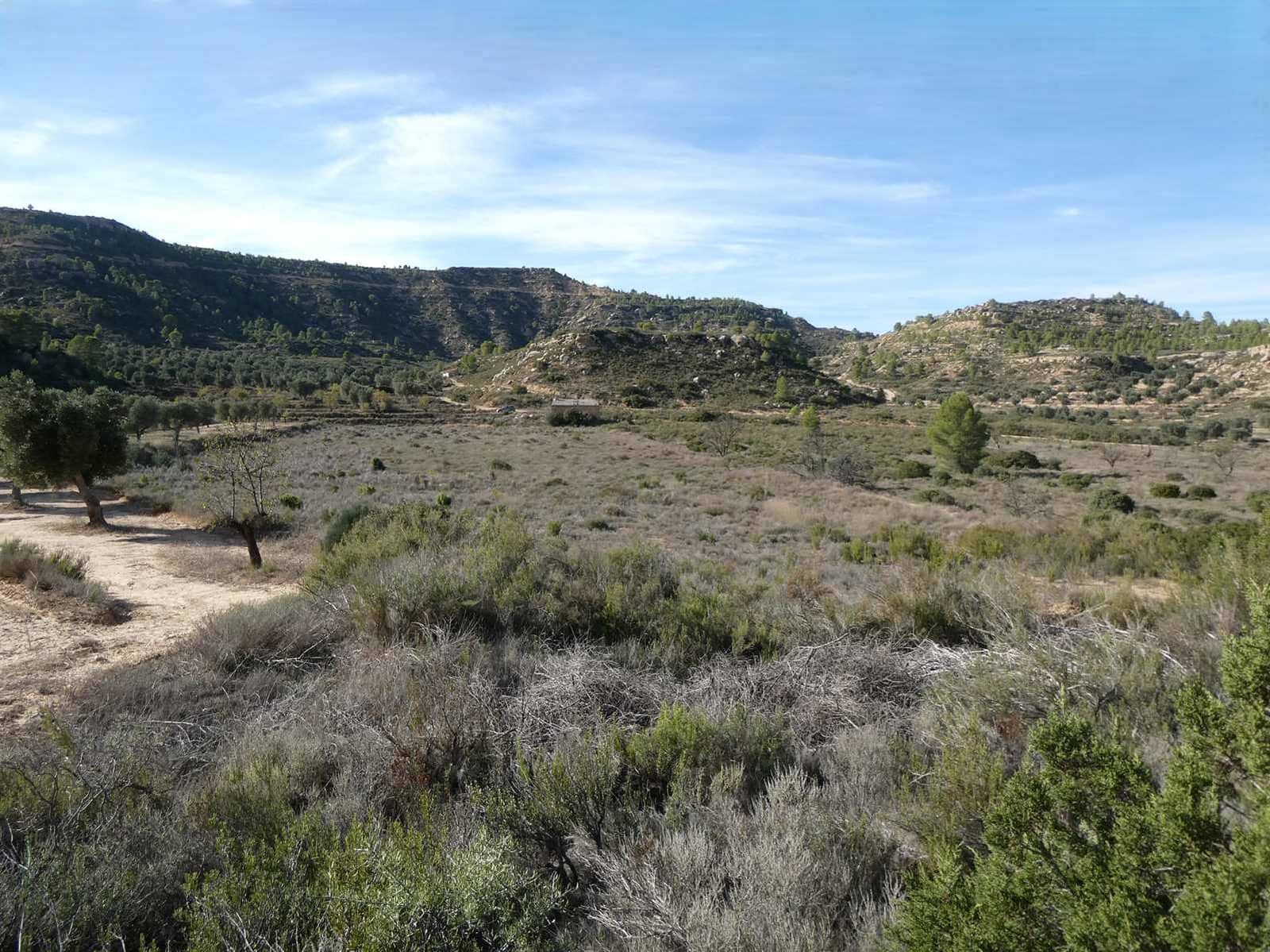 Finca/Maison de Campagne à vendre à Maella - 29 000 € (Ref: 10177478)