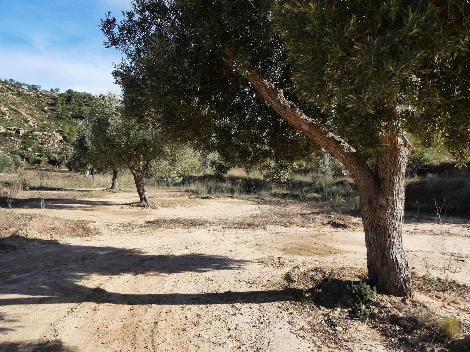 Finca/Maison de Campagne à vendre à Maella - 29 000 € (Ref: 10177478)