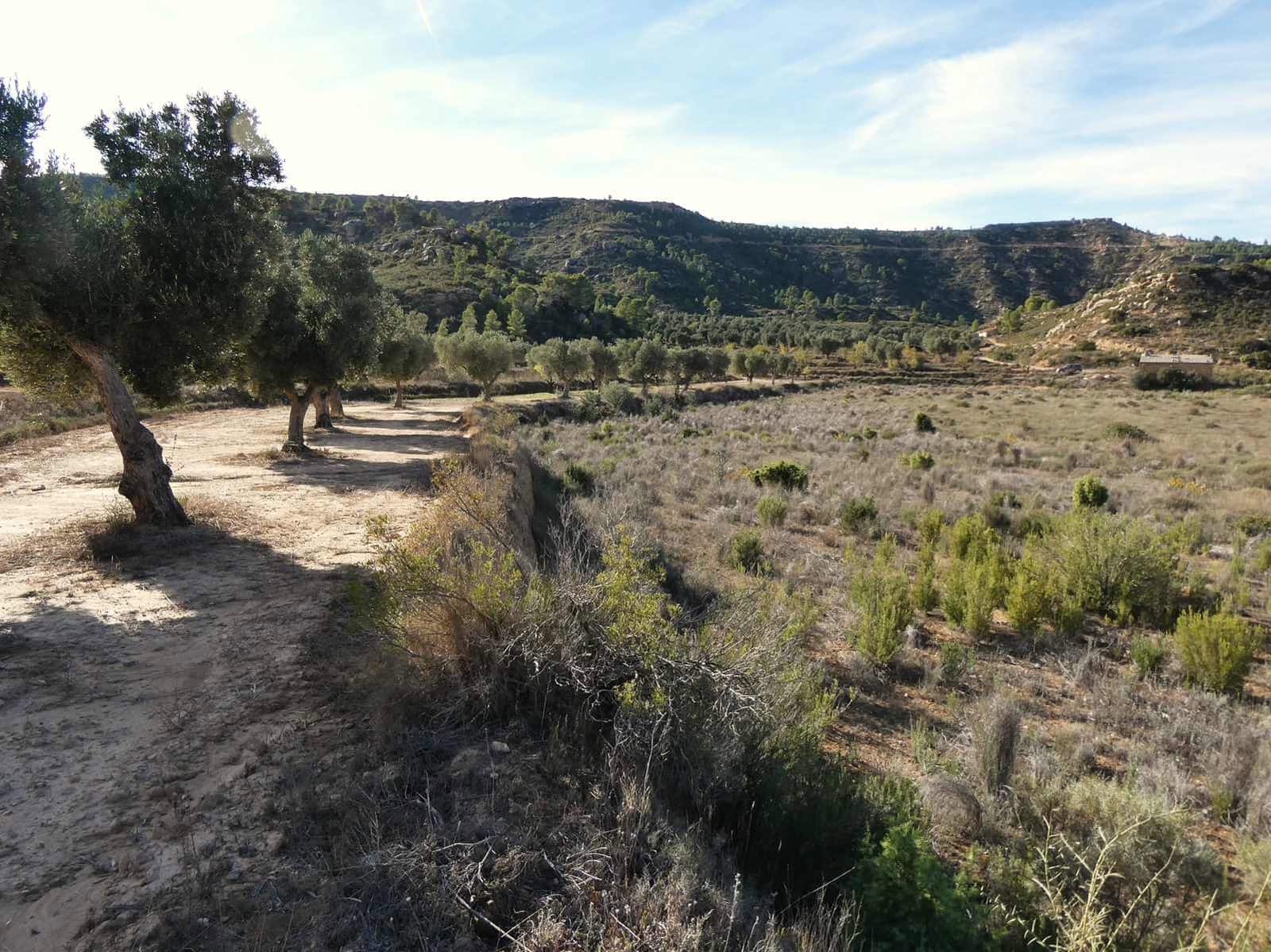 Finca/Maison de Campagne à vendre à Maella - 29 000 € (Ref: 10177478)