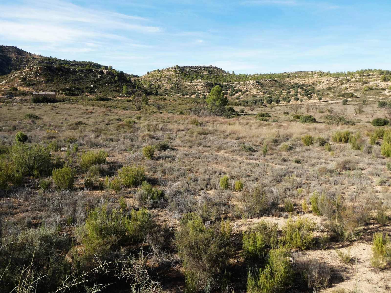 Finca/Maison de Campagne à vendre à Maella - 29 000 € (Ref: 10177478)