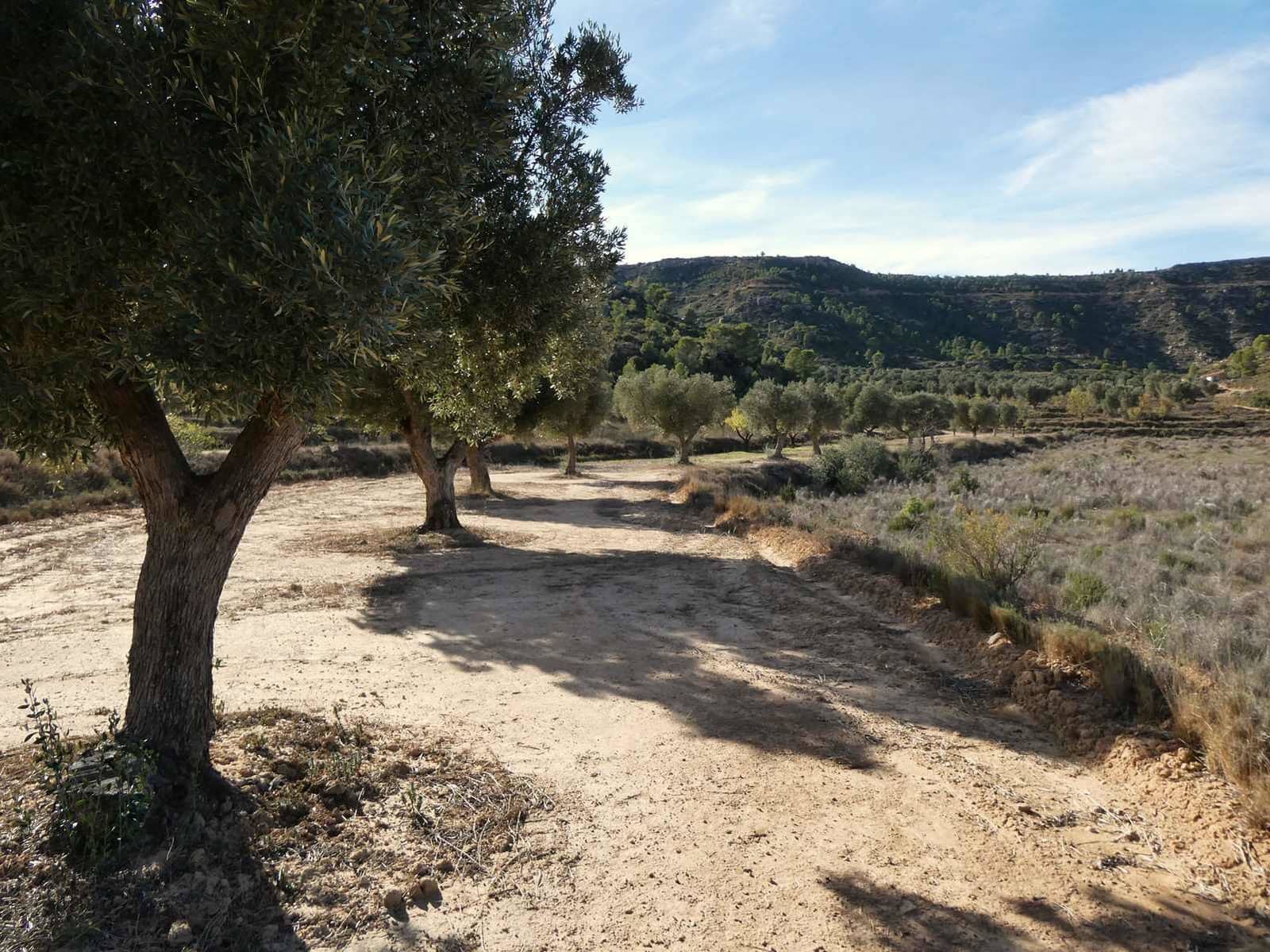 Finca/Maison de Campagne à vendre à Maella - 29 000 € (Ref: 10177478)