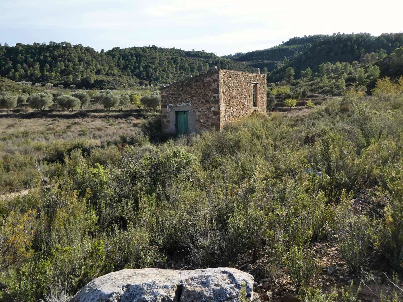 Finca/Maison de Campagne à vendre à Maella - 29 000 € (Ref: 10177478)