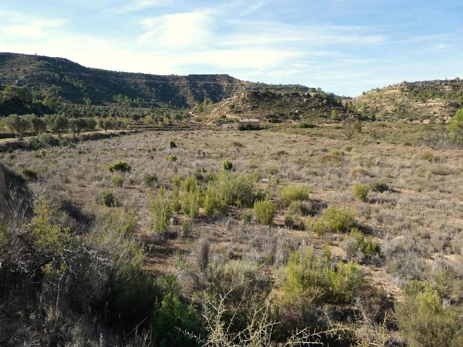 Finca/Maison de Campagne à vendre à Maella - 29 000 € (Ref: 10177478)