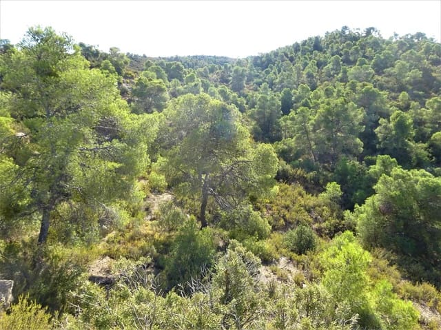 Finca/Landehus til salg i Caspe - € 23.000 (Ref: 7406904)