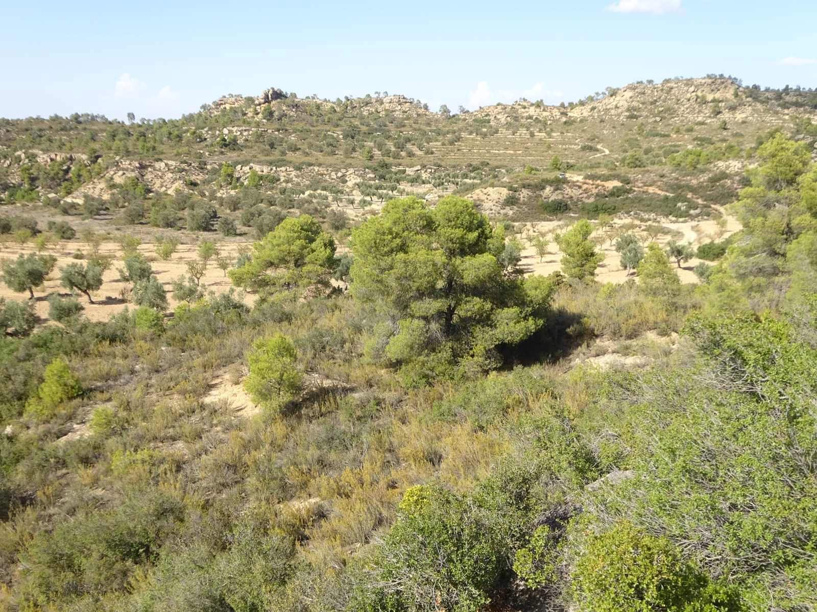 Finca/Herregård til salgs i Maella - € 64 000 (Ref: 7406905)