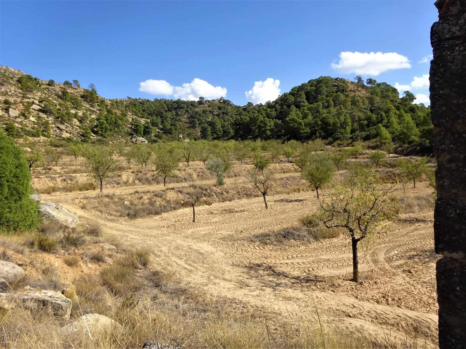 Finca/Herregård til salgs i Maella - € 64 000 (Ref: 7406905)