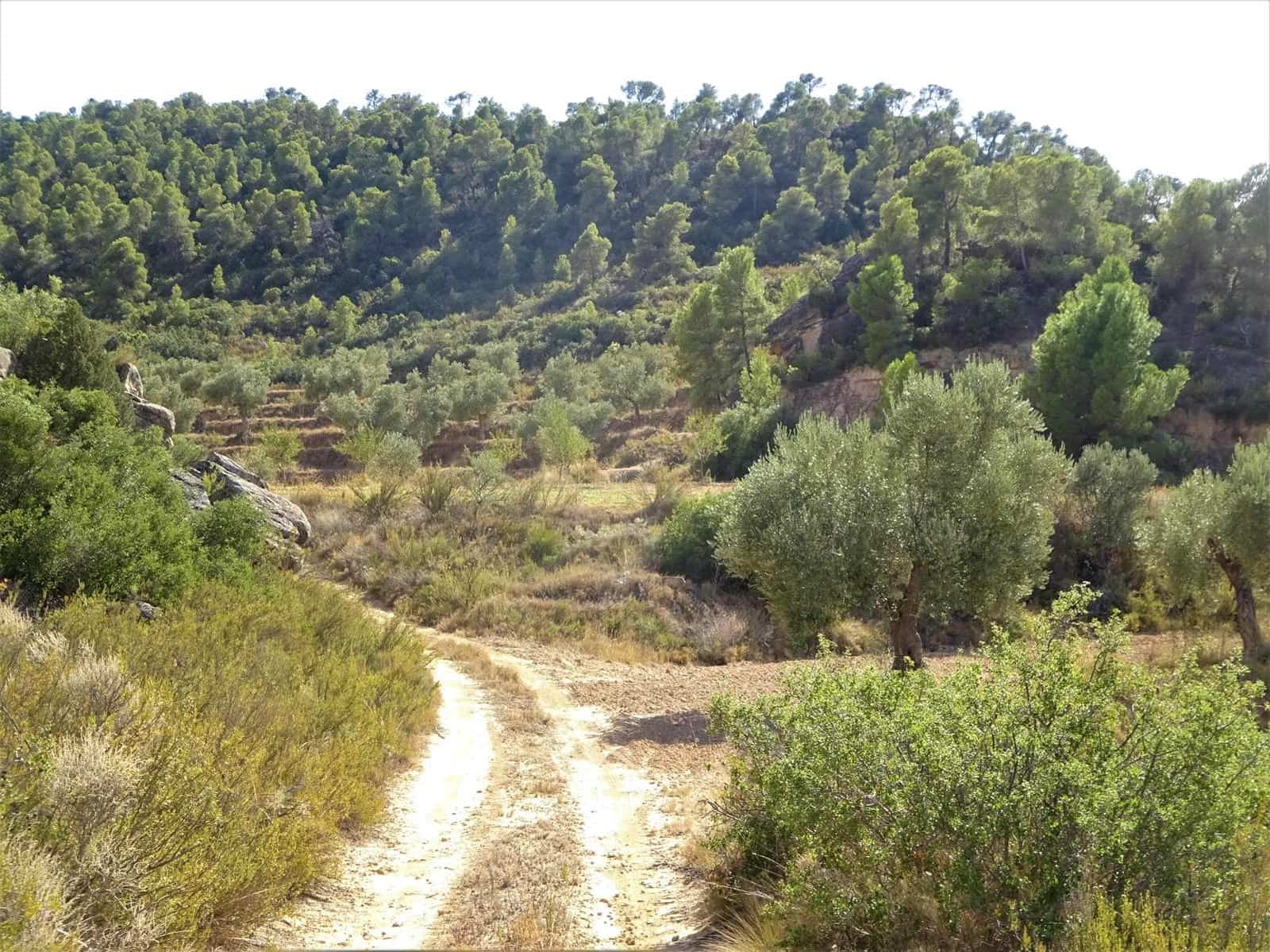 Finca/Herregård til salgs i Maella - € 64 000 (Ref: 7406905)