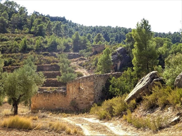 Finca/Casa Rural en Maella en venta - 64.000 € (Ref: 7406905)