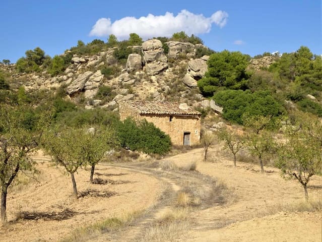 Finca/Casa Rural en Maella en venta - 64.000 € (Ref: 7406905)