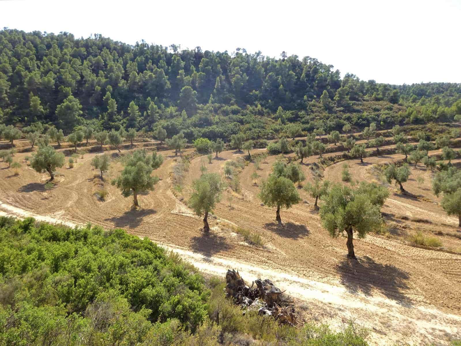Finca/Country House for sale in Maella - € 64,000 (Ref: 7406905)