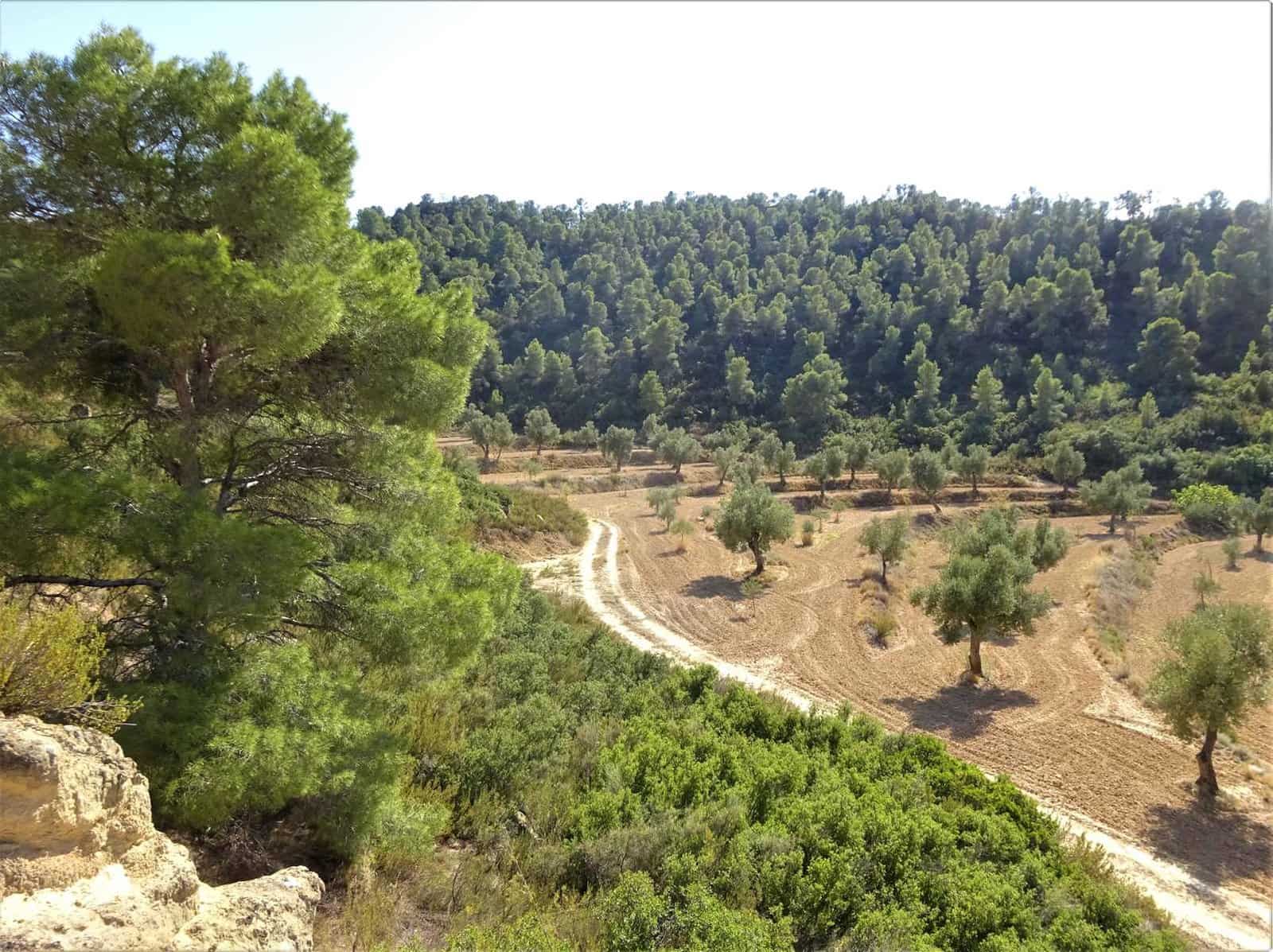 Finca/Country House for sale in Maella - € 64,000 (Ref: 7406905)