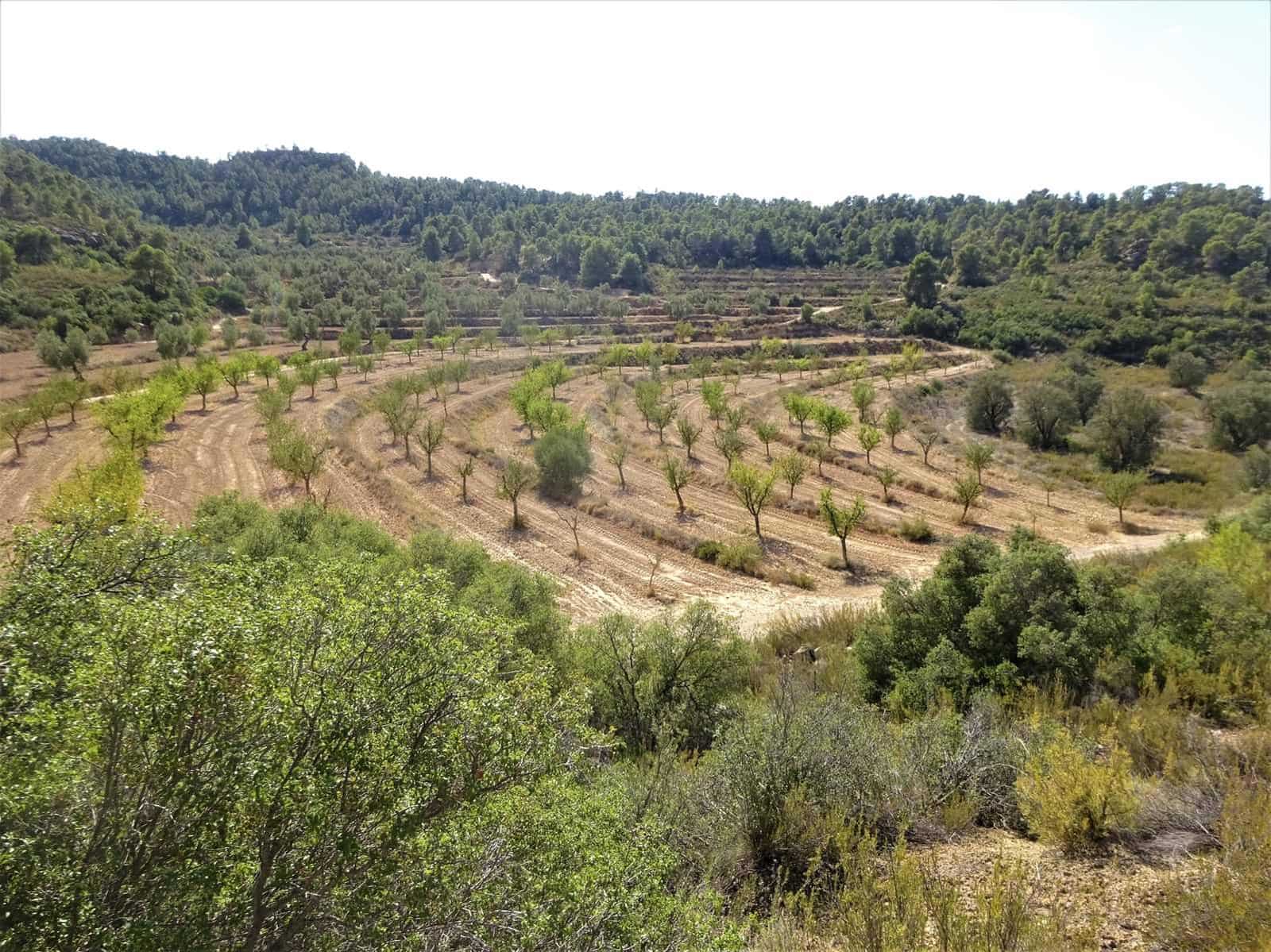 Finca/Country House for sale in Maella - € 64,000 (Ref: 7406905)