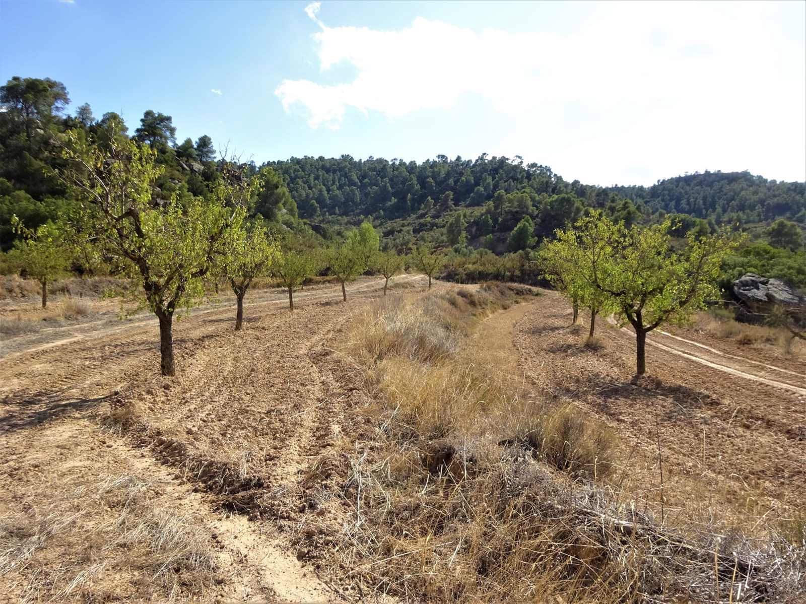 Finca/Country House for sale in Maella - € 64,000 (Ref: 7406905)