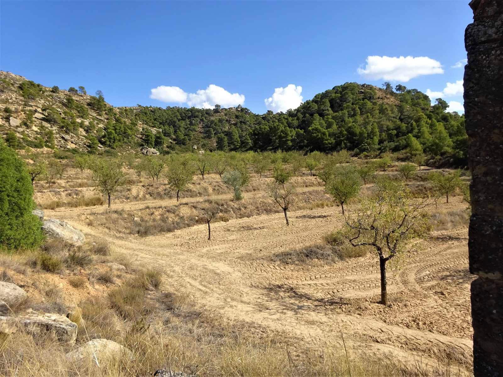 Finca/Country House for sale in Maella - € 64,000 (Ref: 7406905)