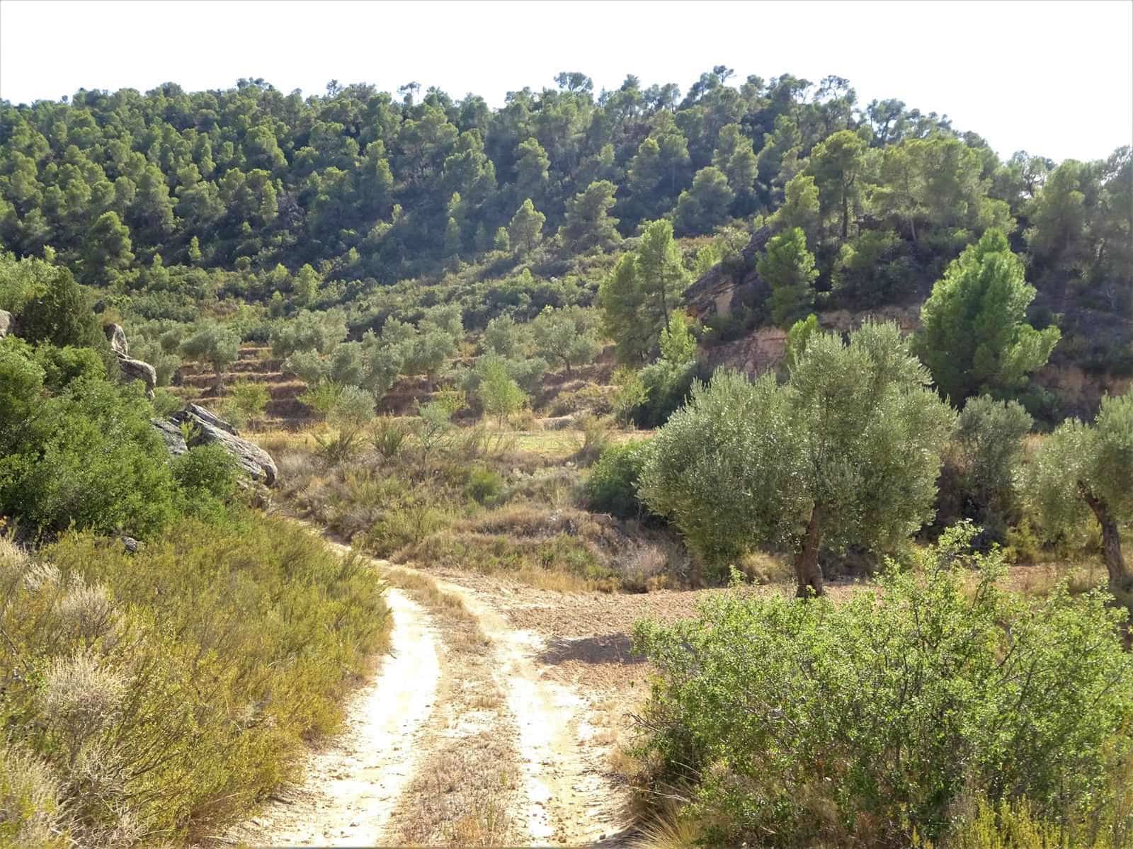 Finca/Country House for sale in Maella - € 64,000 (Ref: 7406905)