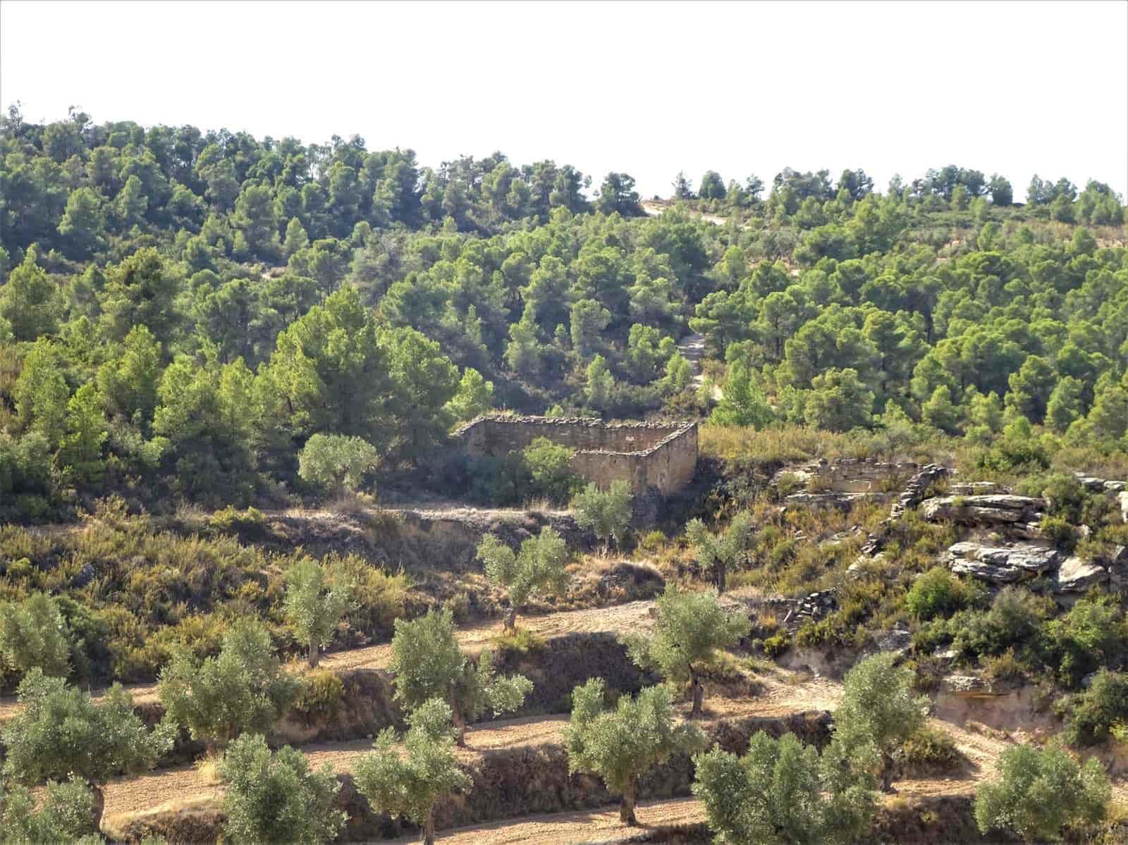 Finca/Country House for sale in Maella - € 64,000 (Ref: 7406905)