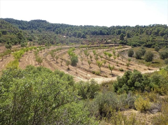 Finca/Casa Rural en Maella en venta - 64.000 € (Ref: 7406905)