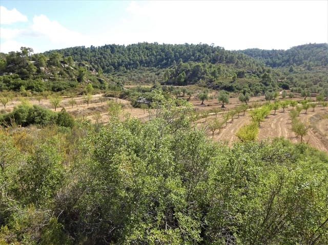 Finca/Casa Rural en Maella en venta - 64.000 € (Ref: 7406905)