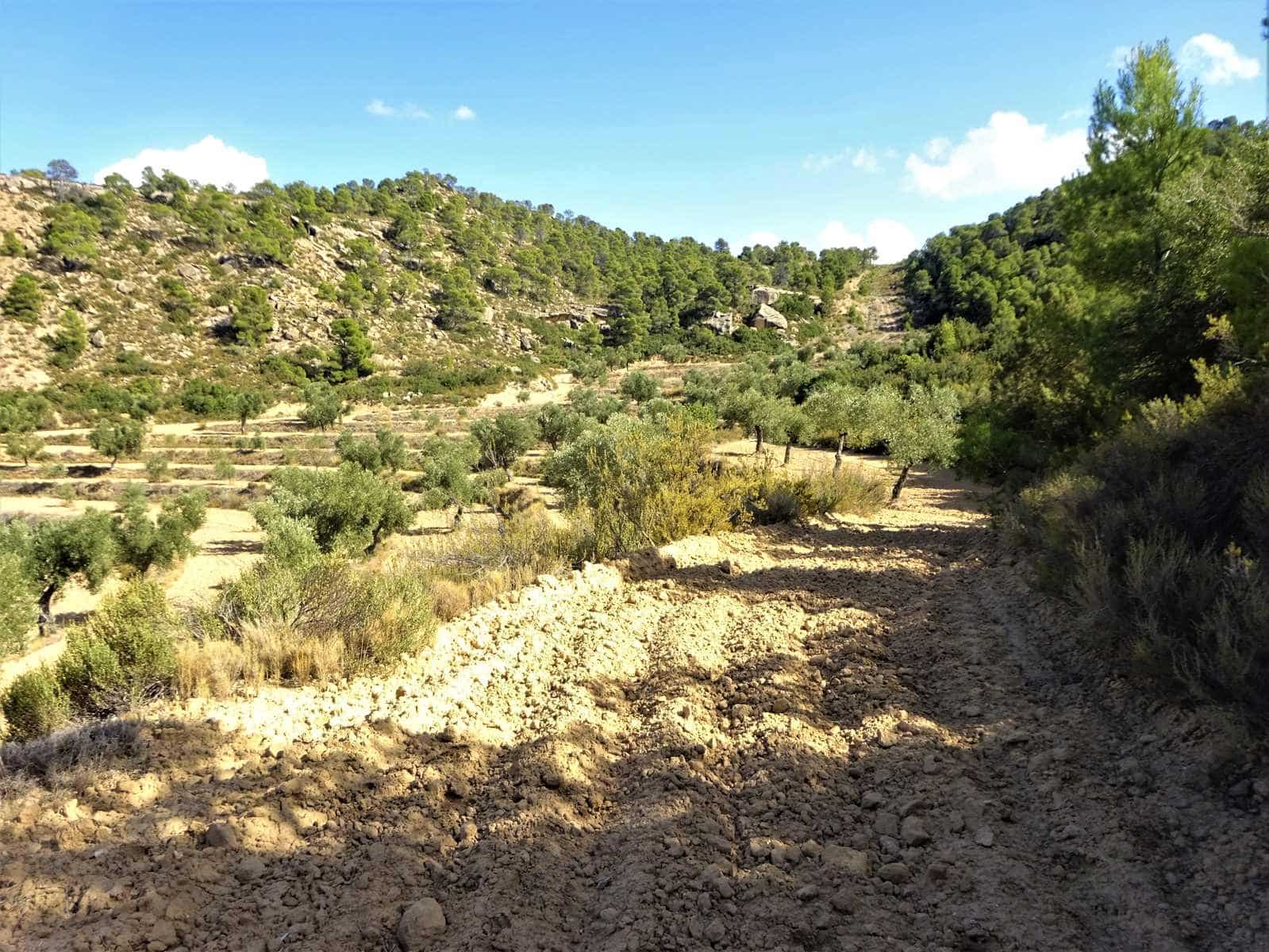 Finca/Country House for sale in Maella - € 64,000 (Ref: 7406905)