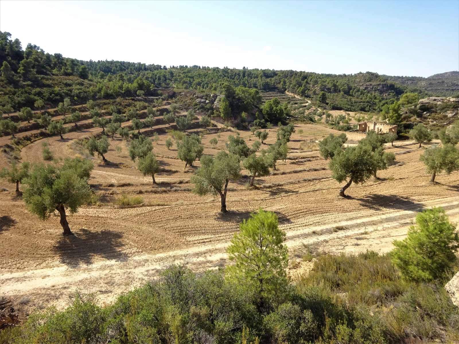 Finca/Country House for sale in Maella - € 64,000 (Ref: 7406905)