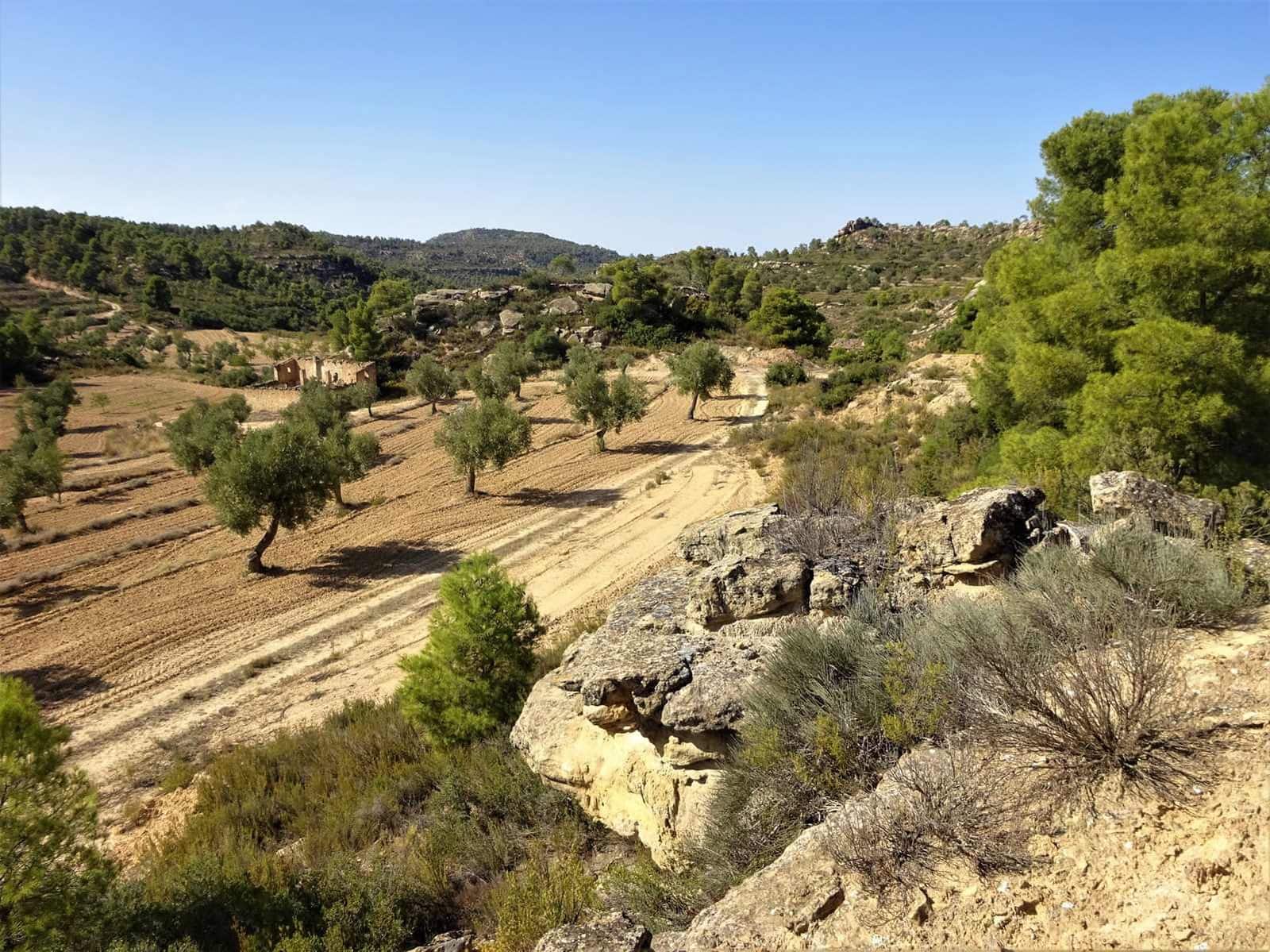 Finca/Country House for sale in Maella - € 64,000 (Ref: 7406905)