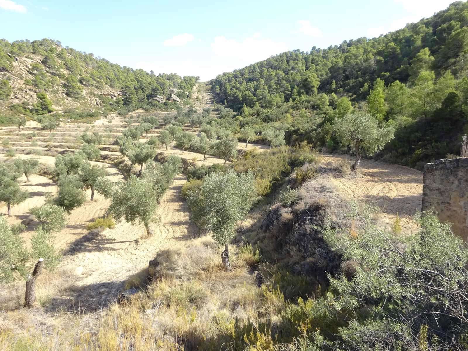 Finca/Country House for sale in Maella - € 64,000 (Ref: 7406905)